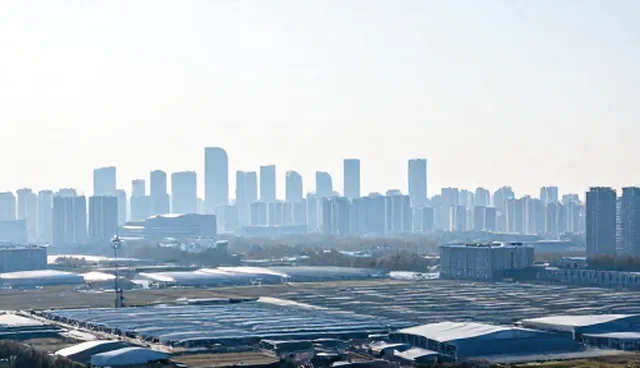 限制条件下的技术支持与业务趋势应对策略